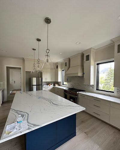 Litter Box and Kennel Cleaning